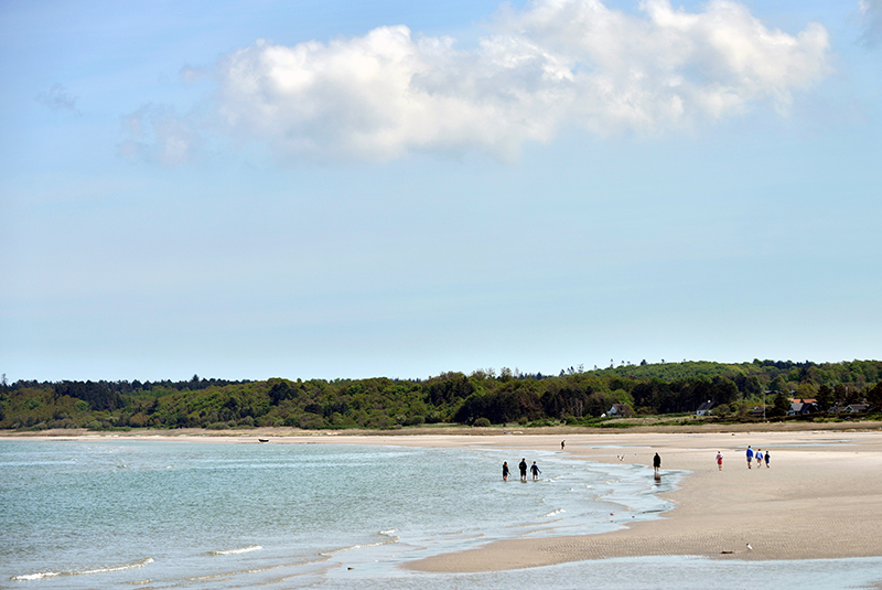 Boennerup-Strand-22052017_6121 Bønnerup Strand