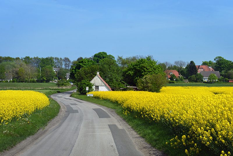 Udsigt over marker og huse ved Kolindsund