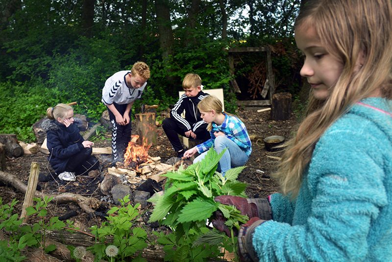 Børn omkring bålsted i naturen Børn omkring bålsted i naturen