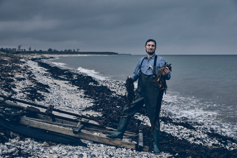Nordisk tang – ved havet En mand, der står i vandkanten, med tang i hænderne